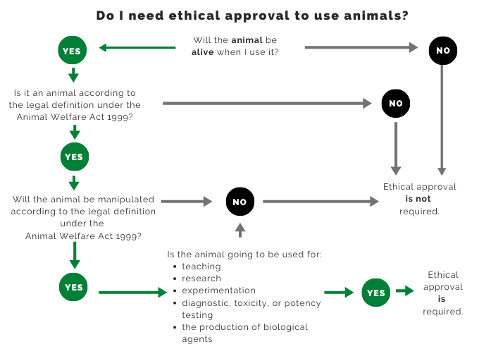 Flowchart – Do I need ethical approval to use animals?
